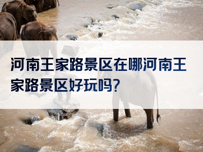 河南王家路景区在哪河南王家路景区好玩吗？