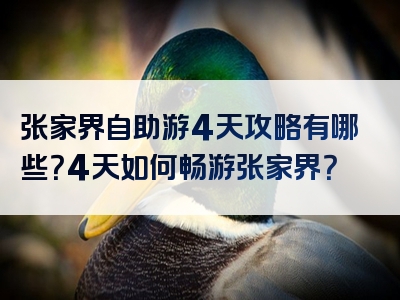 张家界自助游4天攻略有哪些？4天如何畅游张家界？