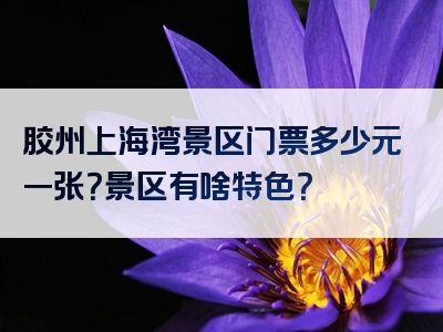 胶州上海湾景区门票多少元一张？景区有啥特色？