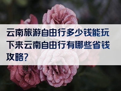 云南旅游自由行多少钱能玩下来云南自由行有哪些省钱攻略？