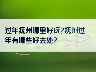 过年抚州哪里好玩？抚州过年有哪些好去处？