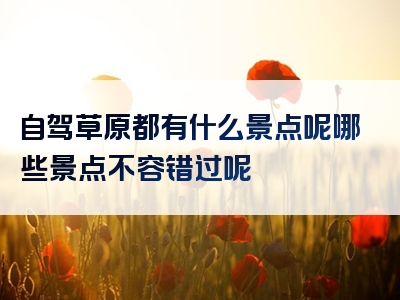 自驾草原都有什么景点呢哪些景点不容错过呢
