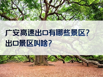 广安高速出口有哪些景区？出口景区叫啥？