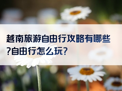 越南旅游自由行攻略有哪些？自由行怎么玩？