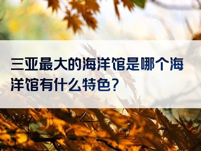 三亚最大的海洋馆是哪个海洋馆有什么特色？