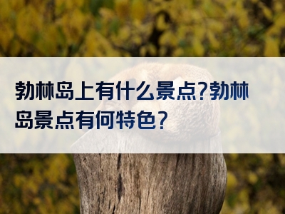 勃林岛上有什么景点？勃林岛景点有何特色？