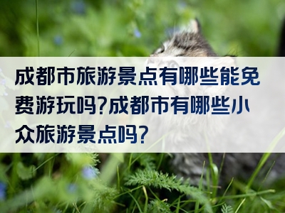 成都市旅游景点有哪些能免费游玩吗？成都市有哪些小众旅游景点吗？