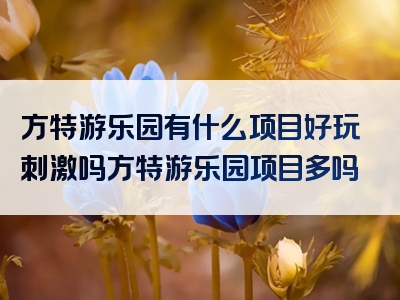 方特游乐园有什么项目好玩刺激吗方特游乐园项目多吗