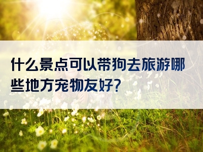 什么景点可以带狗去旅游哪些地方宠物友好？