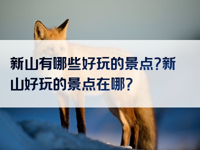 新山有哪些好玩的景点？新山好玩的景点在哪？