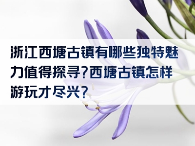 浙江西塘古镇有哪些独特魅力值得探寻？西塘古镇怎样游玩才尽兴？