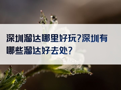 深圳溜达哪里好玩？深圳有哪些溜达好去处？