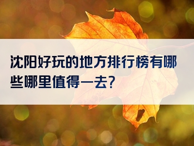 沈阳好玩的地方排行榜有哪些哪里值得一去？
