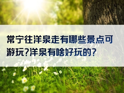 常宁往洋泉走有哪些景点可游玩？洋泉有啥好玩的？