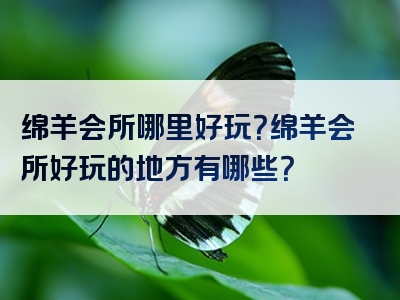 绵羊会所哪里好玩？绵羊会所好玩的地方有哪些？
