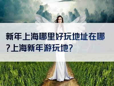新年上海哪里好玩地址在哪？上海新年游玩地？