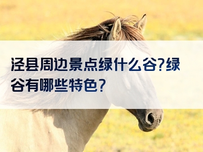 泾县周边景点绿什么谷？绿谷有哪些特色？