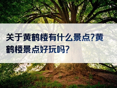 关于黄鹤楼有什么景点？黄鹤楼景点好玩吗？