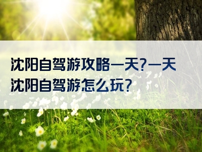 沈阳自驾游攻略一天？一天沈阳自驾游怎么玩？