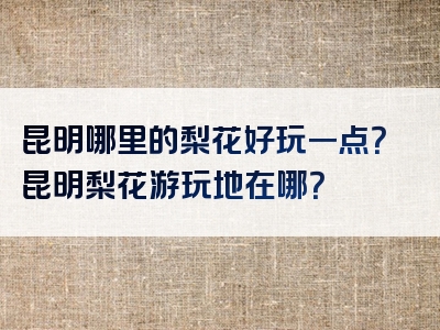 昆明哪里的梨花好玩一点？昆明梨花游玩地在哪？