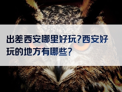 出差西安哪里好玩？西安好玩的地方有哪些？