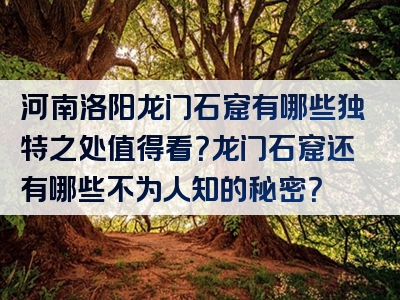 河南洛阳龙门石窟有哪些独特之处值得看？龙门石窟还有哪些不为人知的秘密？