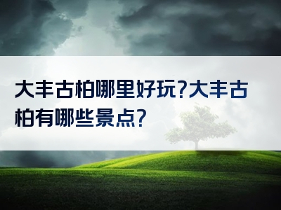 大丰古柏哪里好玩？大丰古柏有哪些景点？