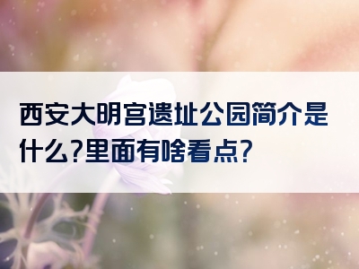 西安大明宫遗址公园简介是什么？里面有啥看点？