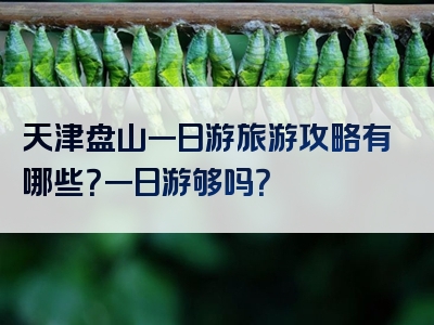 天津盘山一日游旅游攻略有哪些？一日游够吗？