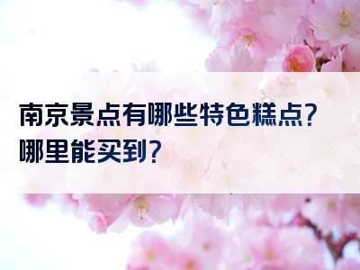 南京景点有哪些特色糕点？哪里能买到？