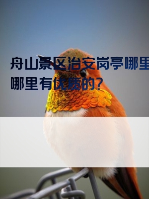 舟山景区治安岗亭哪里买？哪里有优质的？