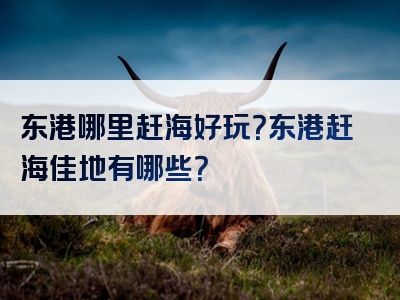 东港哪里赶海好玩？东港赶海佳地有哪些？