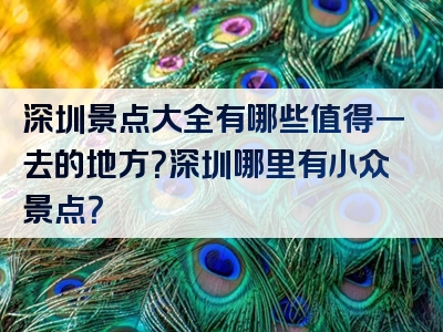 深圳景点大全有哪些值得一去的地方？深圳哪里有小众景点？