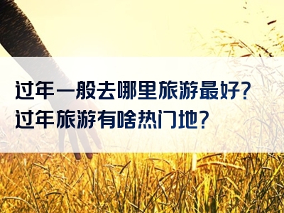 过年一般去哪里旅游最好？过年旅游有啥热门地？