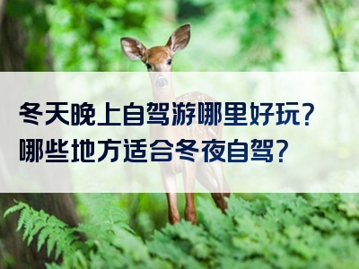 冬天晚上自驾游哪里好玩？哪些地方适合冬夜自驾？