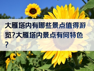 大雁塔内有哪些景点值得游览？大雁塔内景点有何特色？