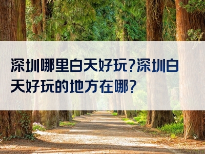 深圳哪里白天好玩？深圳白天好玩的地方在哪？