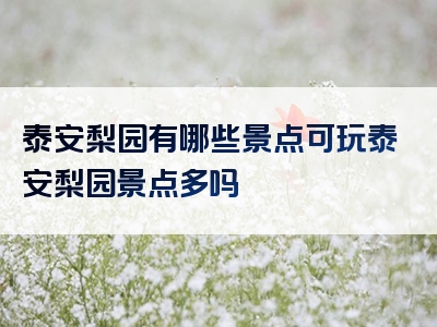 泰安梨园有哪些景点可玩泰安梨园景点多吗