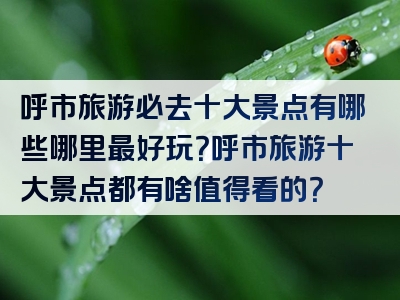呼市旅游必去十大景点有哪些哪里最好玩？呼市旅游十大景点都有啥值得看的？