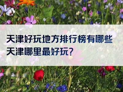 天津好玩地方排行榜有哪些天津哪里最好玩？