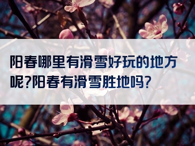 阳春哪里有滑雪好玩的地方呢？阳春有滑雪胜地吗？