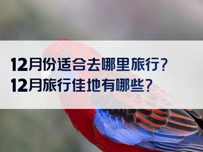 12月份适合去哪里旅行？12月旅行佳地有哪些？