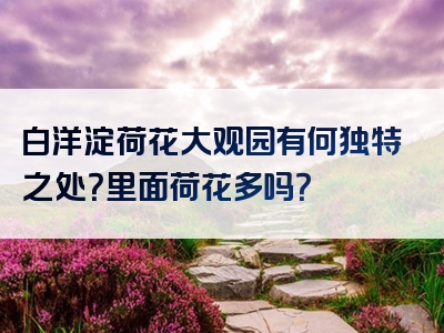 白洋淀荷花大观园有何独特之处？里面荷花多吗？