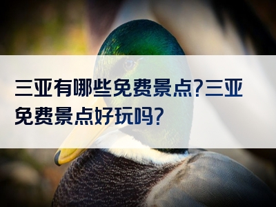 三亚有哪些免费景点？三亚免费景点好玩吗？