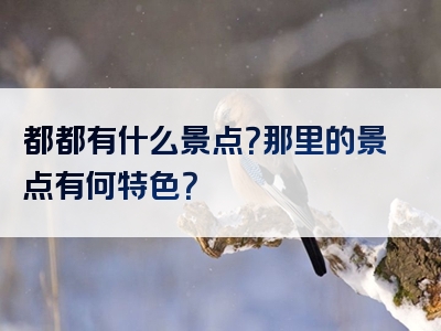 都都有什么景点？那里的景点有何特色？