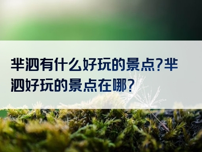 芈泗有什么好玩的景点？芈泗好玩的景点在哪？