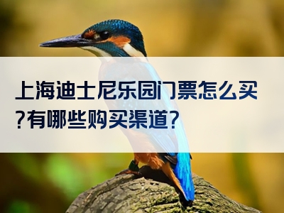 上海迪士尼乐园门票怎么买？有哪些购买渠道？