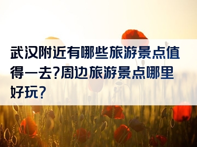 武汉附近有哪些旅游景点值得一去？周边旅游景点哪里好玩？