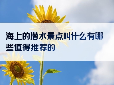 海上的潜水景点叫什么有哪些值得推荐的