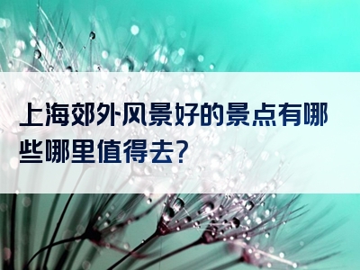上海郊外风景好的景点有哪些哪里值得去？